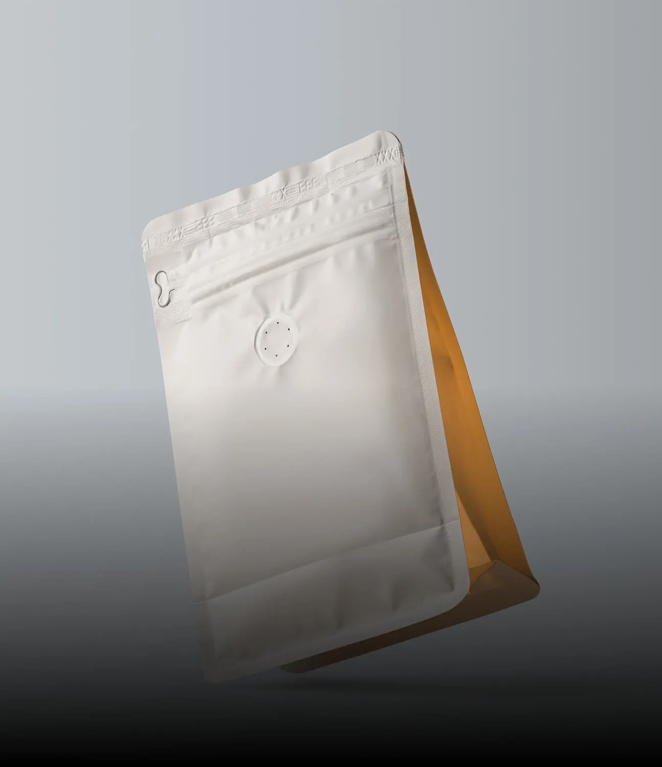 3D rendered pouch packaging mockup